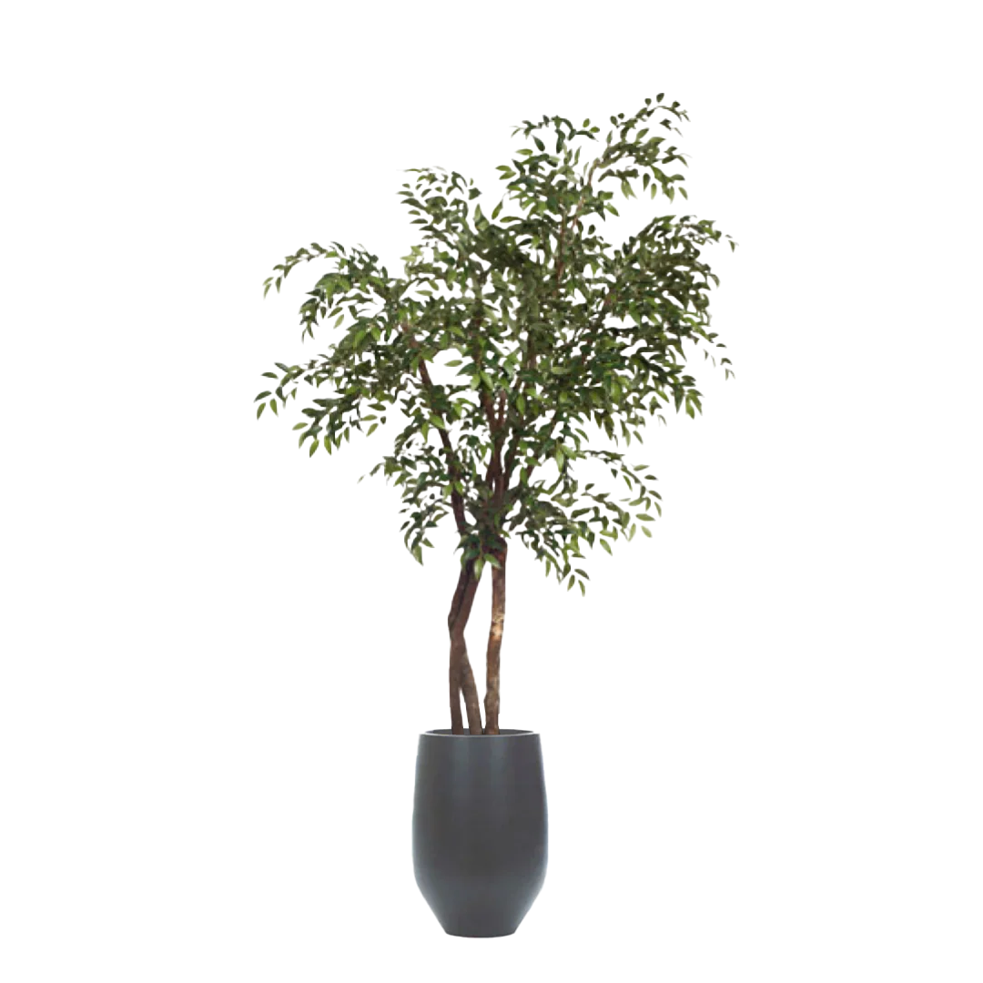 Artificial smilax tree with leafy green foliage in a tall black tapered planter