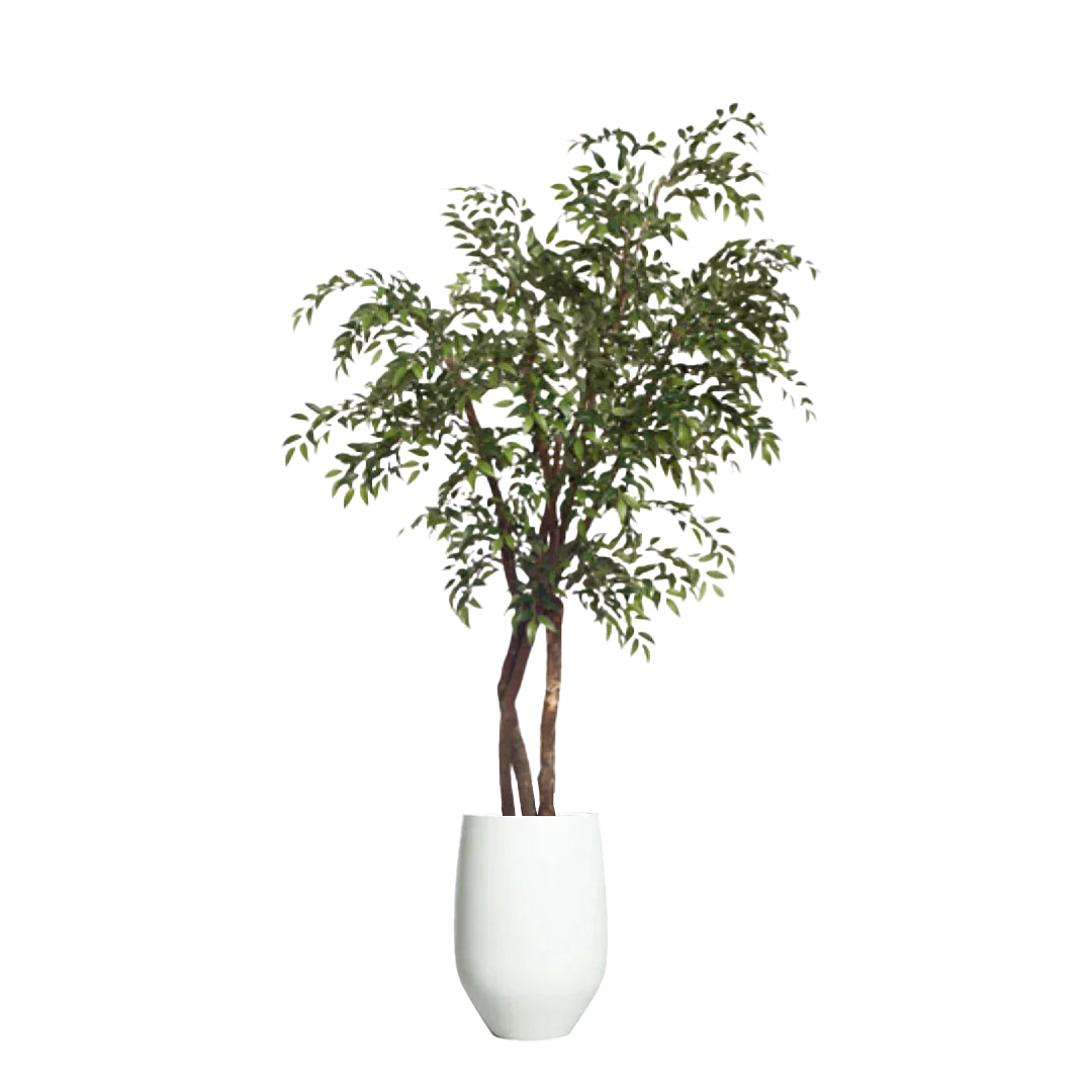 Artificial Smilax tree with natural green foliage in a white tapered planter