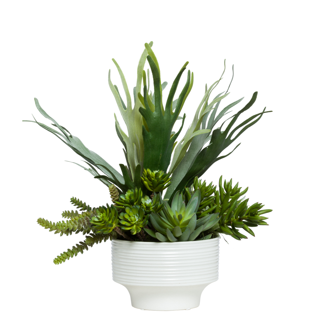 Artificial staghorn fern and succulent arrangement in a white ceramic pot