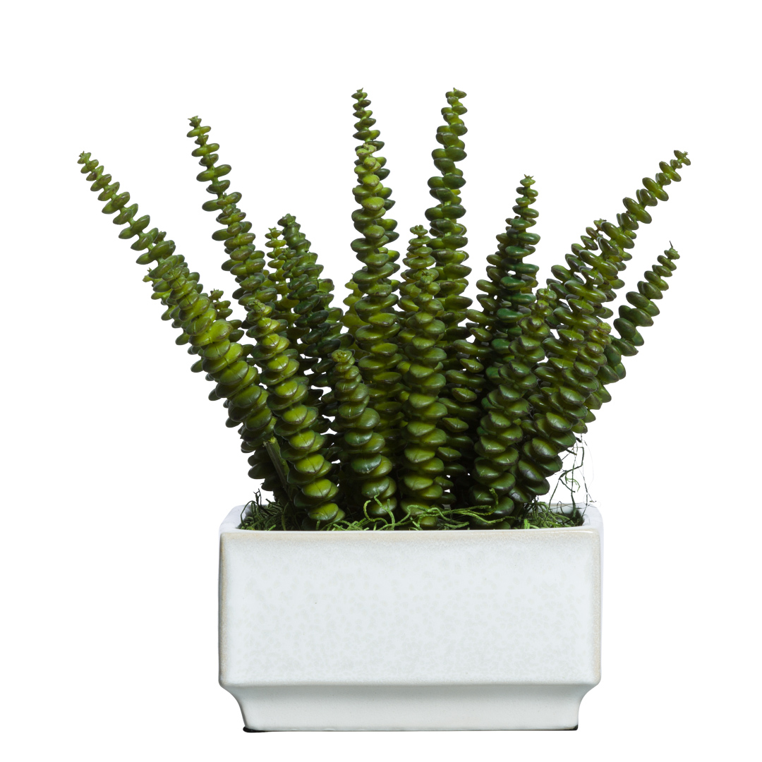 Artificial succulent plant with spiral green leaves in a modern white rectangular pot