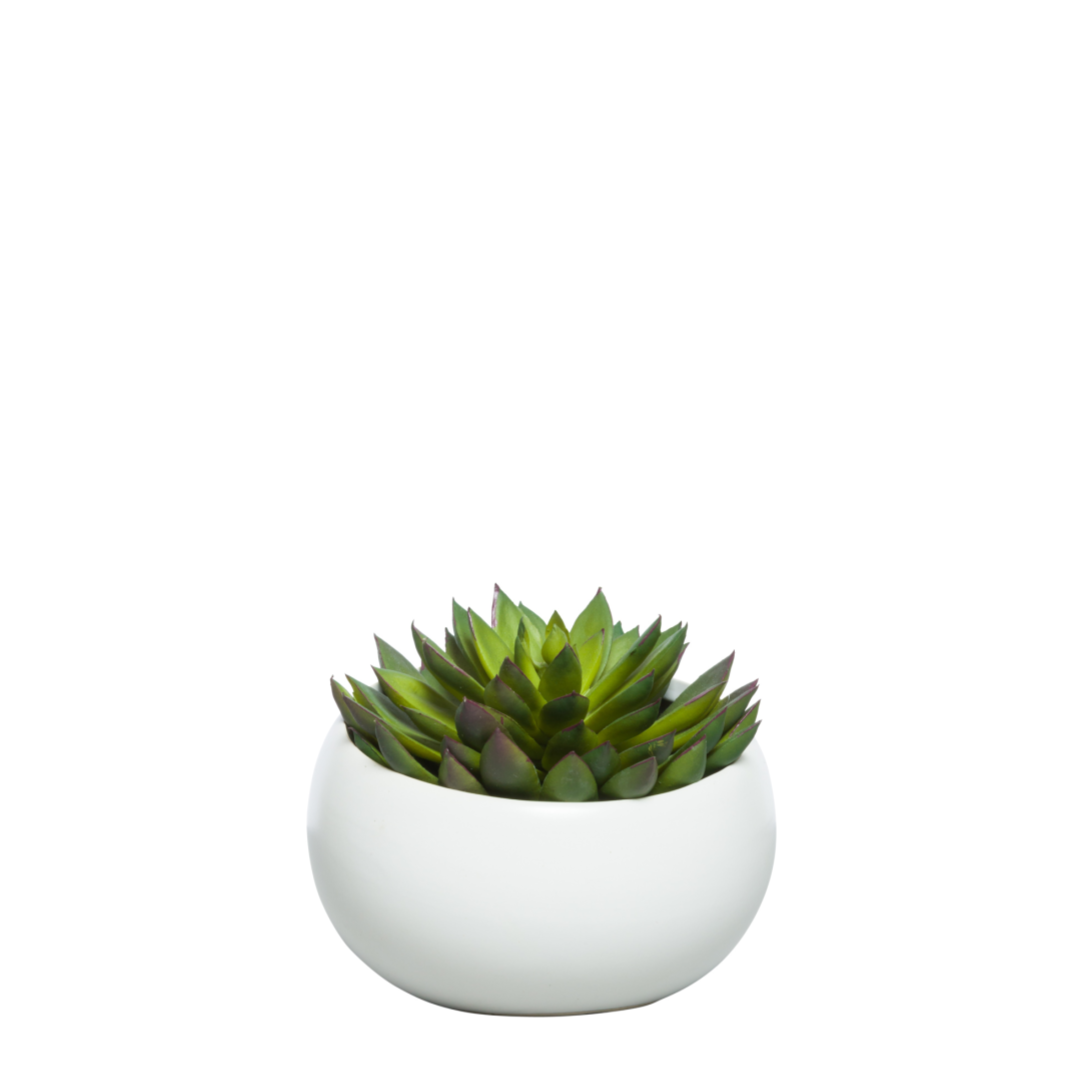 Artificial green succulent plant in modern white ceramic pot on white background