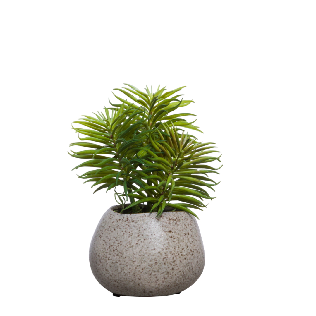 Realistic artificial succulent plant in a round, speckled ceramic pot on white background