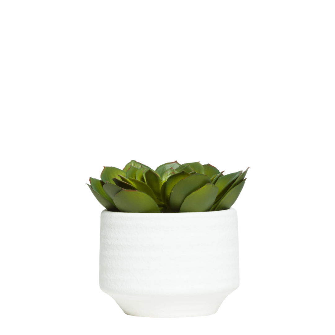 Artificial green succulent plant in a white ceramic pot on a white background