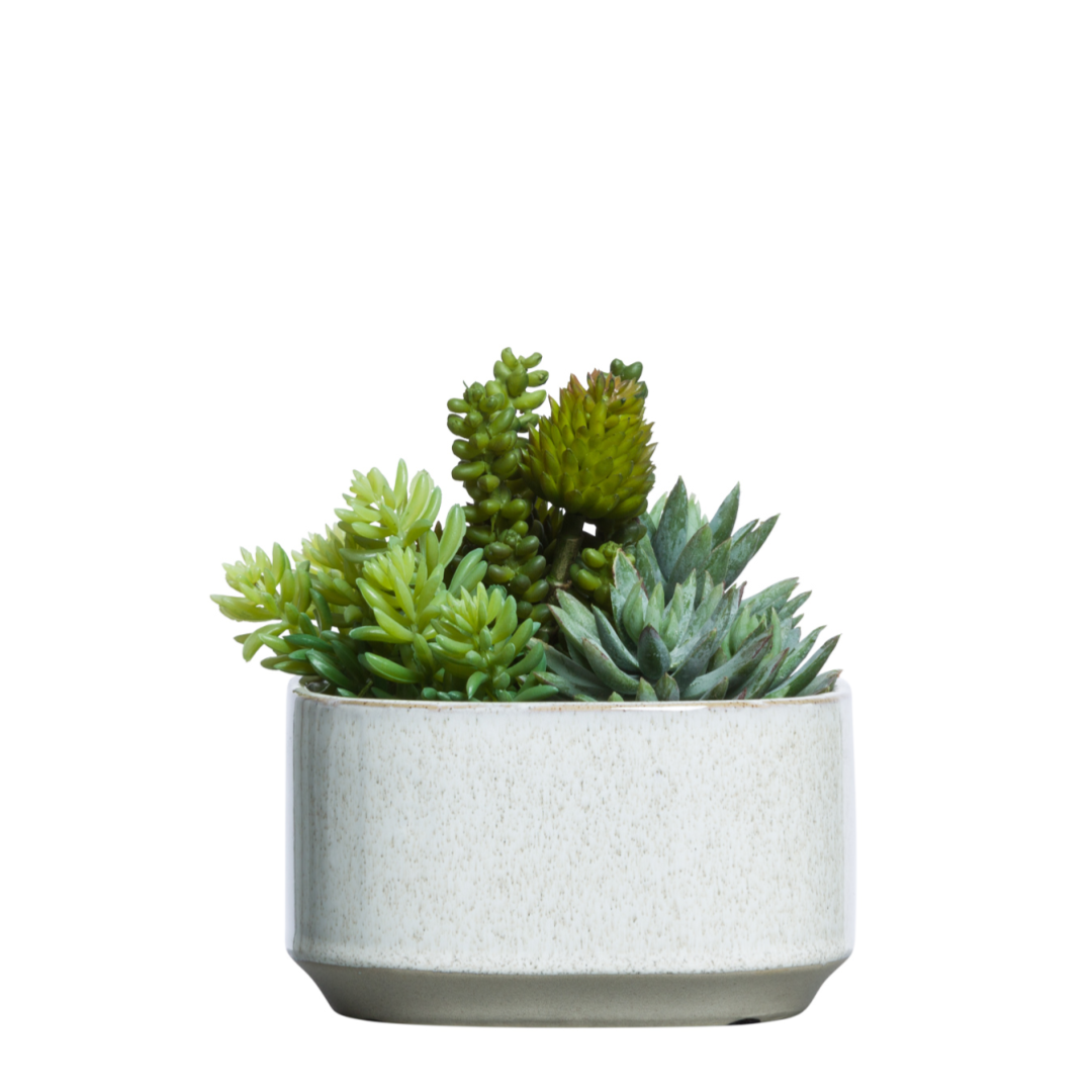Artificial succulent arrangement in a white ceramic planter against a white background