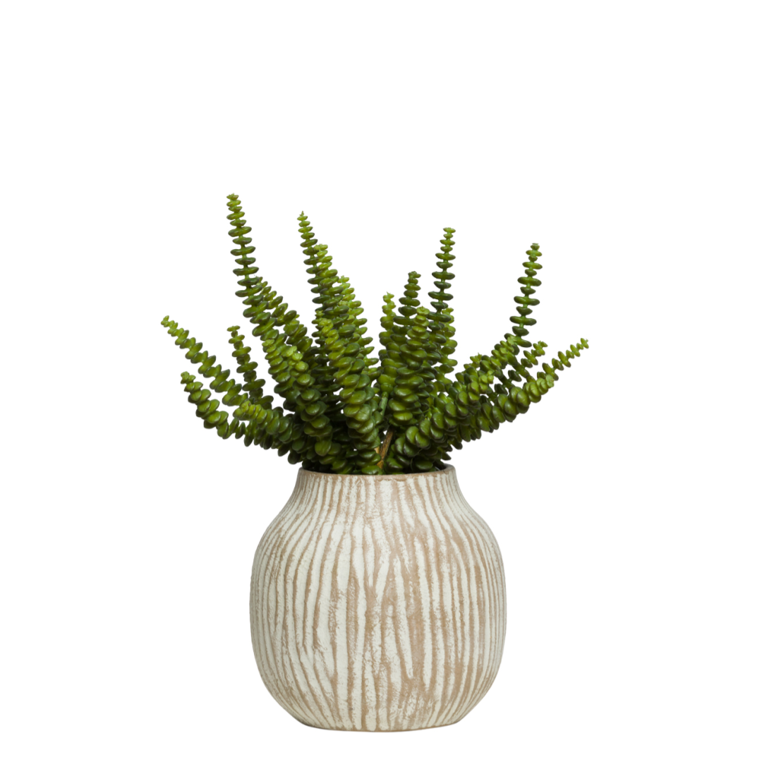 Artificial succulent plant in a textured beige ceramic pot on a white background