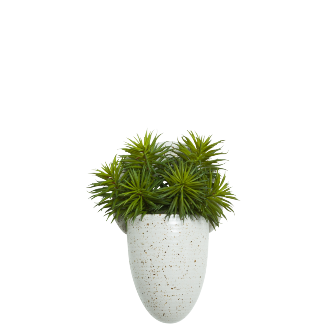 Artificial succulent plant in a modern speckled ceramic wall planter