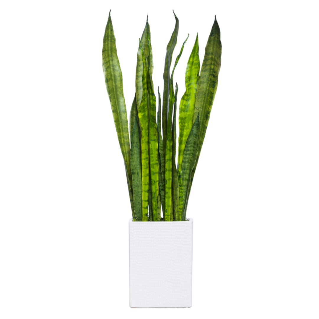 Artificial Sansevieria plant with tall green leaves in a white textured pot.
