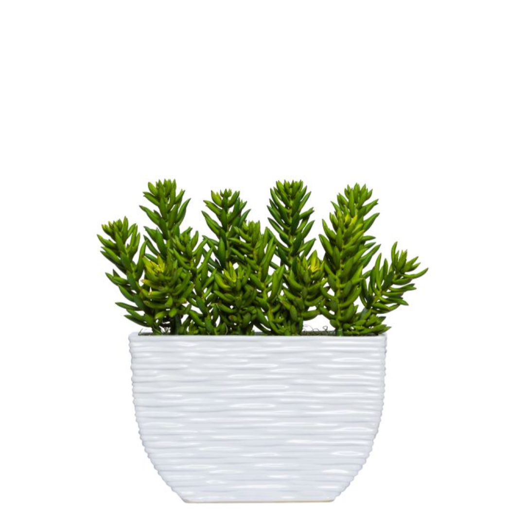 Artificial succulent arrangement in a modern white textured planter