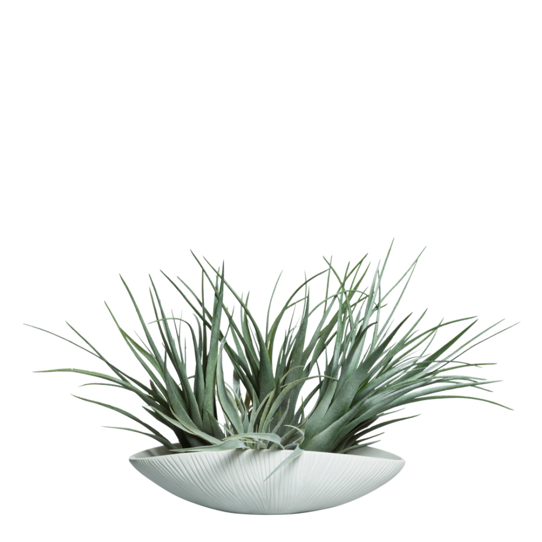 Artificial Tillandsia air plant arrangement in a modern white ceramic bowl
