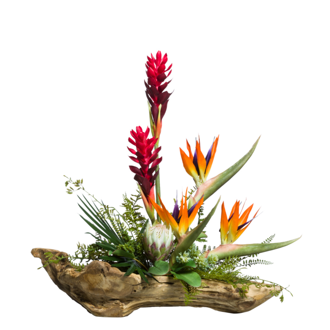 Tropical flower arrangement with red ginger, bird of paradise, greenery in driftwood base