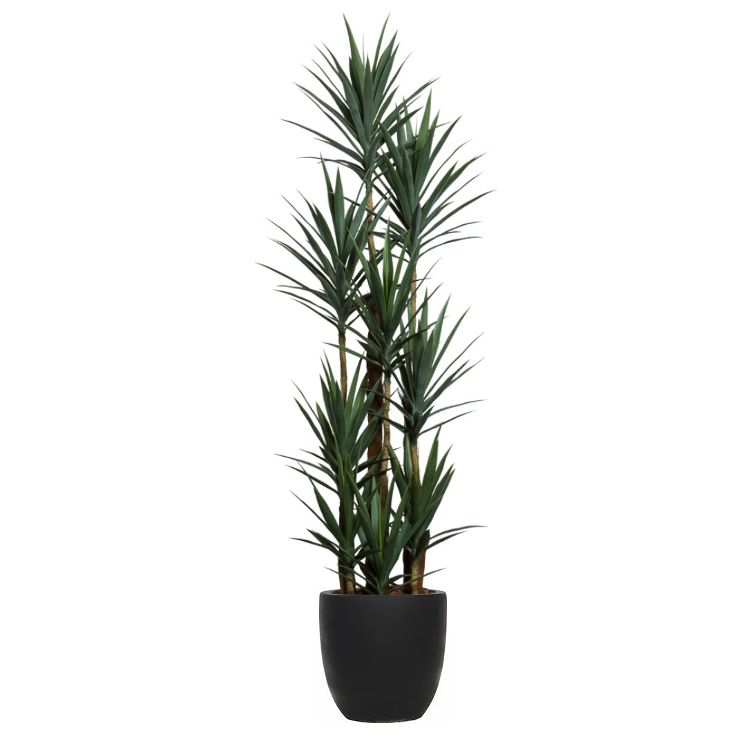 Artificial yucca plant with green spiky leaves in a modern black pot on white background