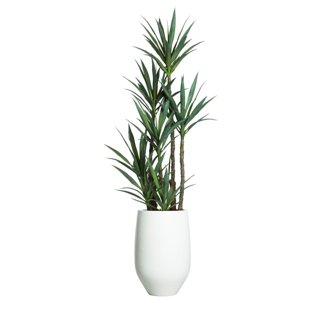 Artificial yucca plant with green leaves in a modern white planter, isolated on white background