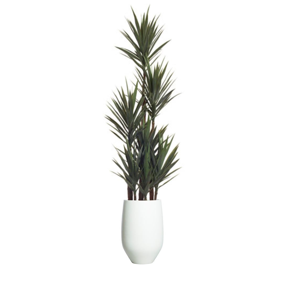 Artificial yucca plant in white pot, tall green leaves, isolated on white background