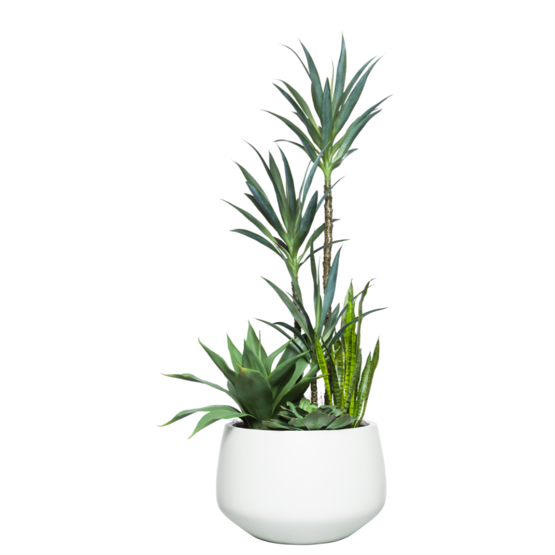 Artificial yucca and succulent plant mix in a modern white ceramic pot, isolated on white background