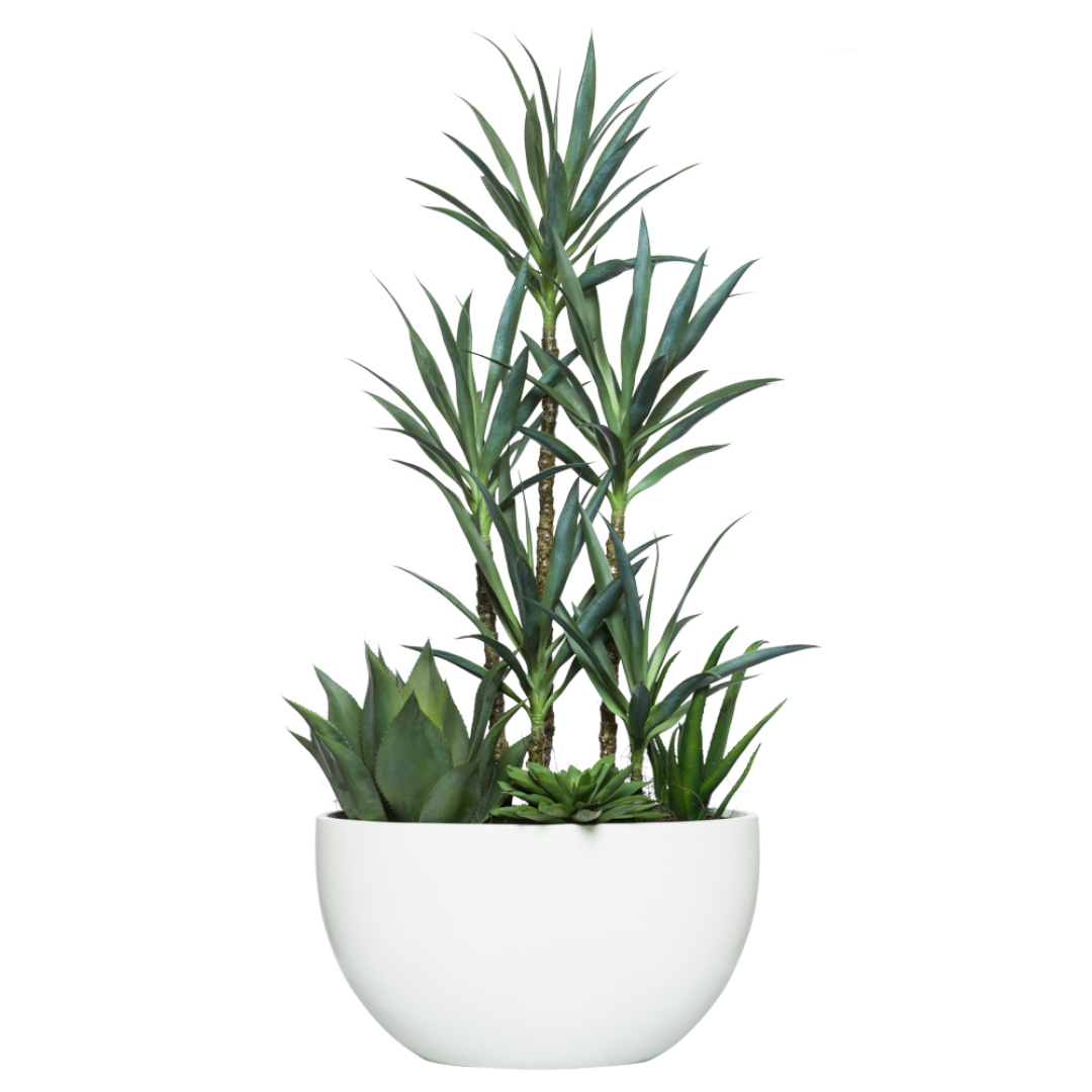 Artificial yucca and succulent mix in modern white planter on white background