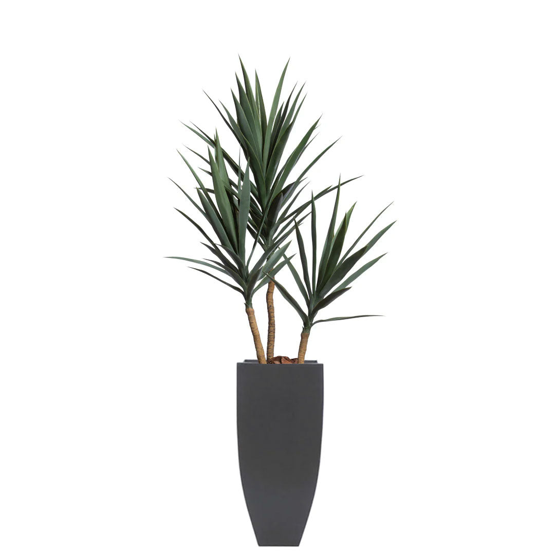 Artificial yucca plant with green spiky leaves in a tall black planter on white background
