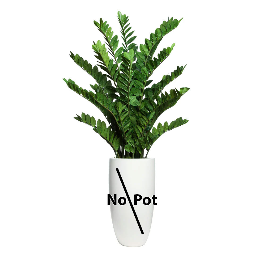 Artificial Zamiifolia plant with lush green leaves, white pot labeled 'No Pot', isolated on white background.