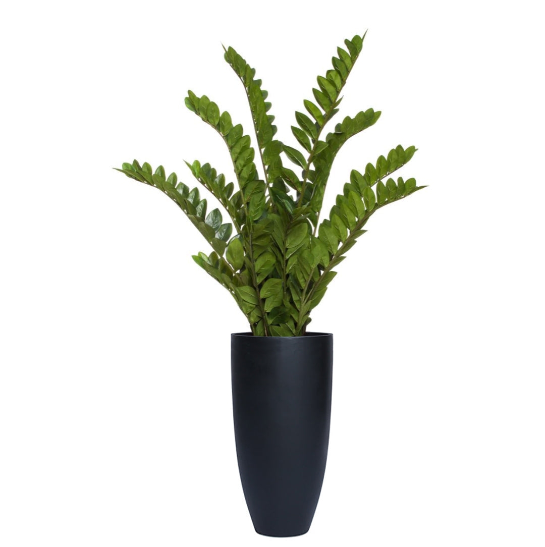 Zamiifolia artificial plant with glossy green leaves in a tall black smooth planter