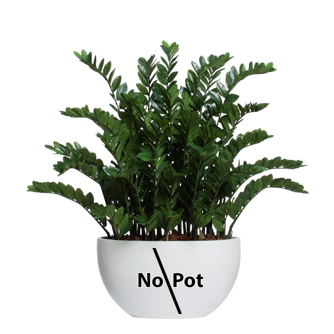 Artificial zamiifolia plant with glossy green leaves in a white bowl labeled 'No Pot'.