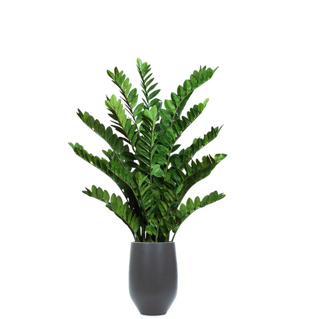 Zamiifolia artificial plant with lush green leaves in a modern black tapered planter