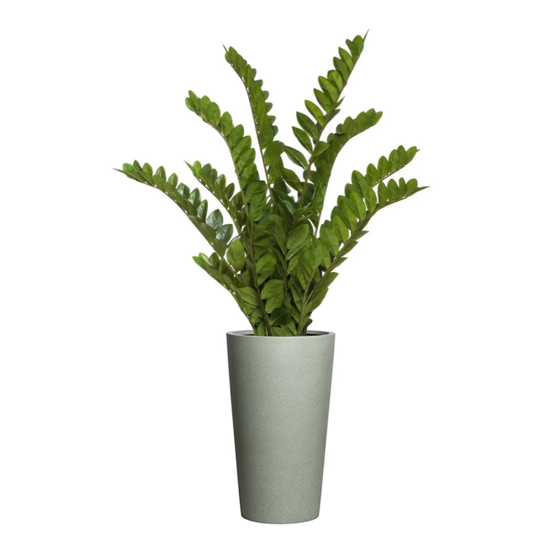 Artificial zamiifolia plant with lush green leaves in a tall greystone planter on white