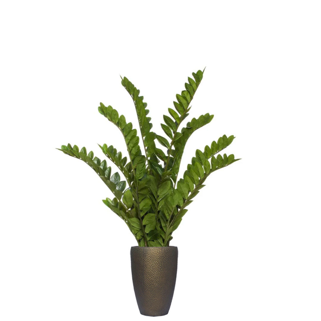 Faux Zamiifolia plant with glossy green leaves in a textured bronze pot on white background