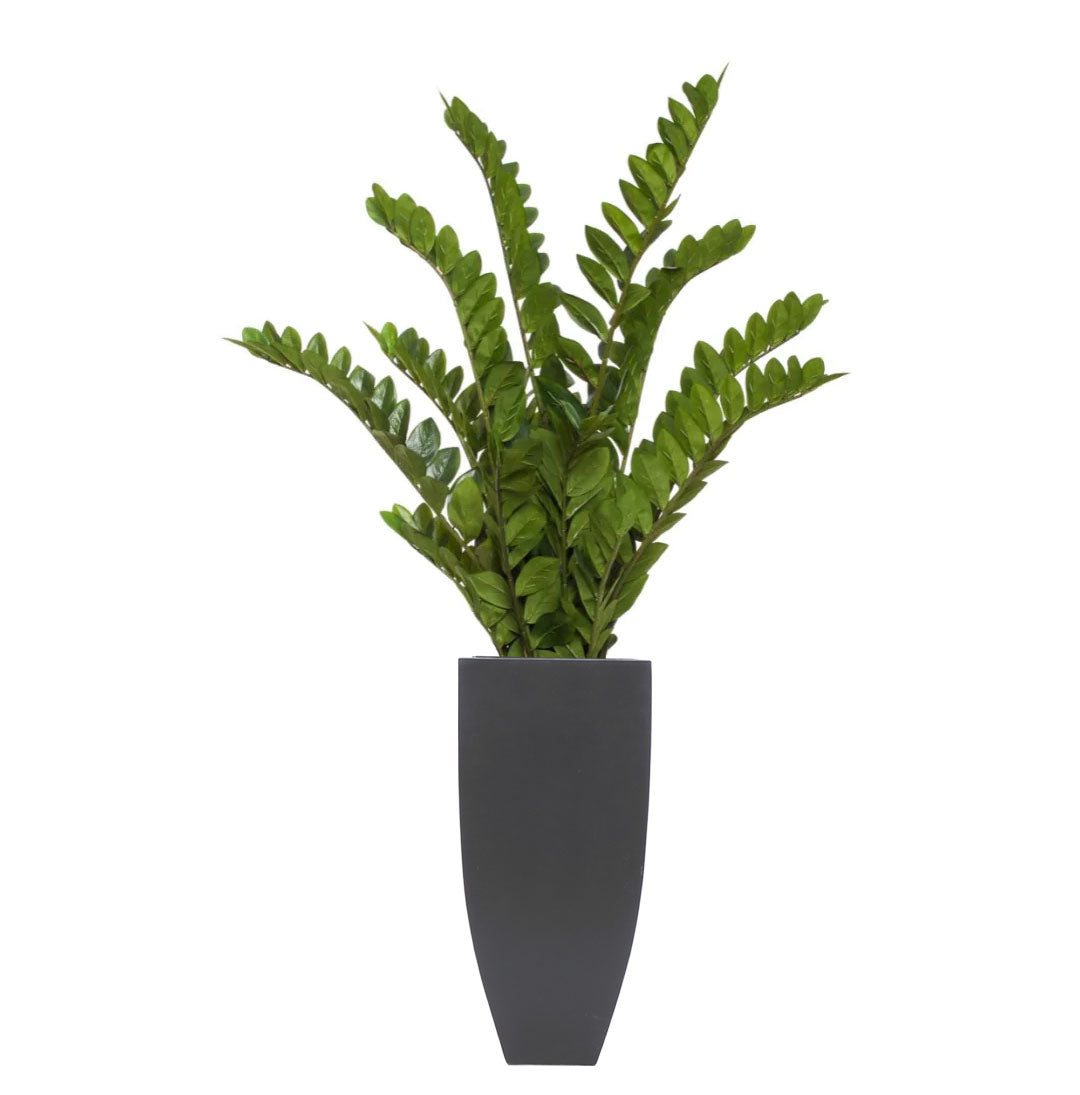 Artificial Zamiifolia plant with green leaves in a modern tall black planter