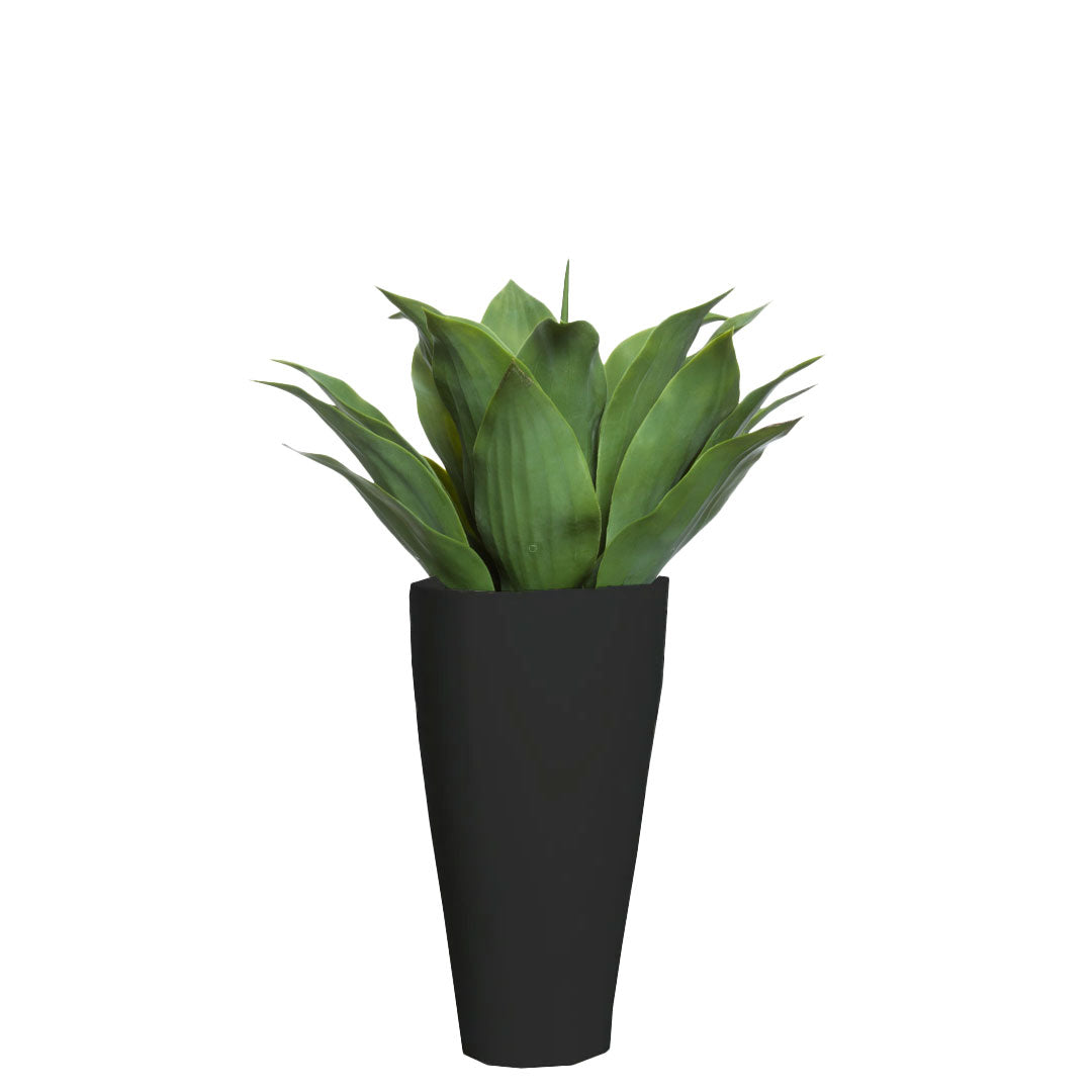 Artificial agave plant in tall black triangular pot, realistic green leaves, isolated background