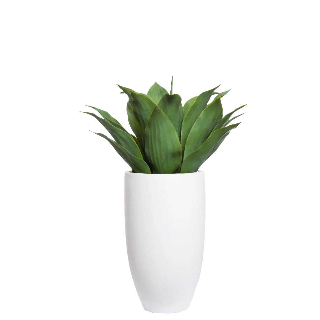 Artificial agave plant with broad green leaves in a smooth white planter