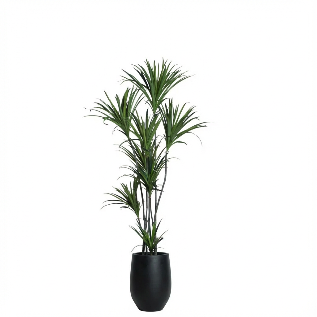 Artificial dracaena plant with green leaves in a tall black vase on white background