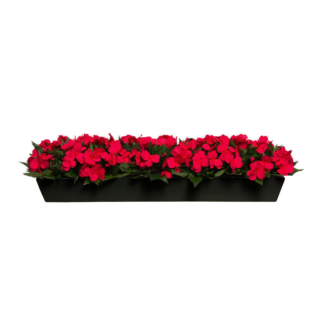 Artificial red flowers with green leaves in a black rectangular planter, isolated on white