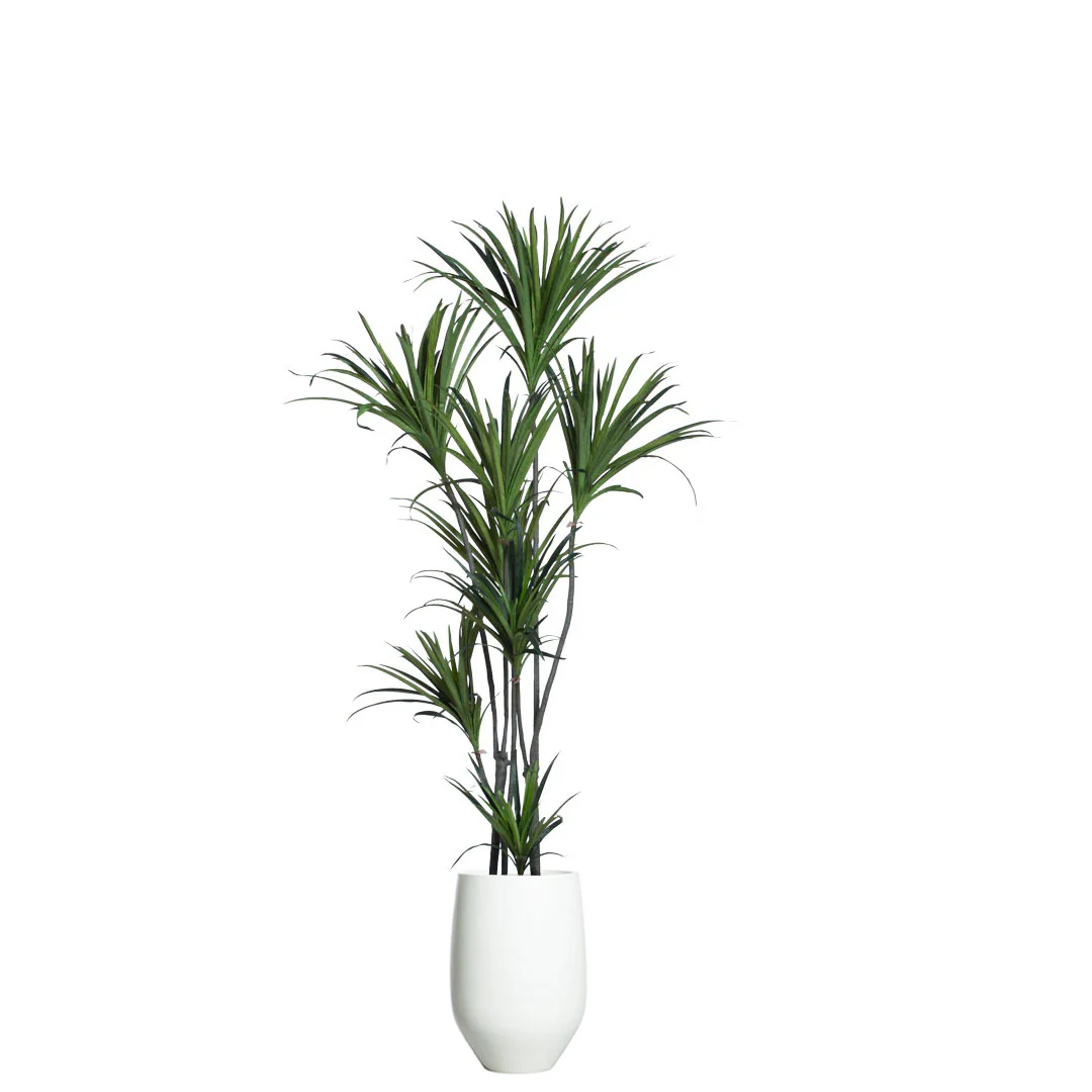 Artificial dracaena plant with green leaves in a modern white pot, realistic silk foliage